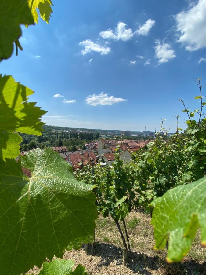 Ferienwohnung Wohlsein Фрикенхаузен на Майн Екстериор снимка